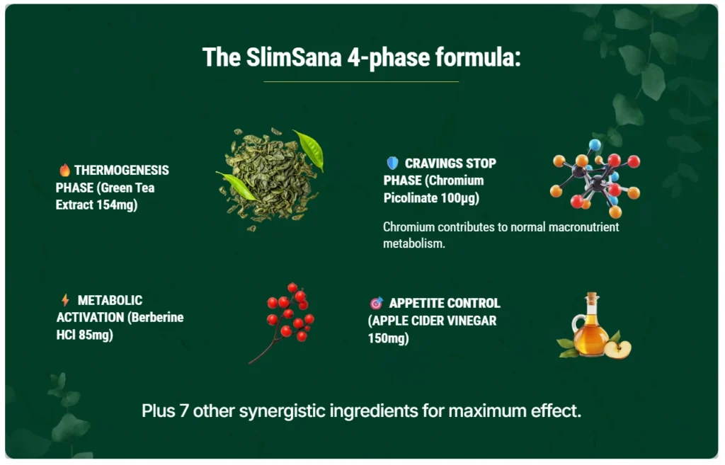 4 phase ingredients of slimsana